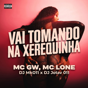 Vai Tomando Na Xerequinha