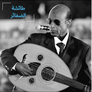 طائشة الضفائر by محمد الأمين