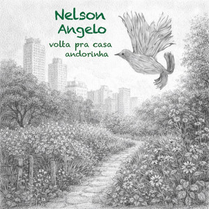 Nelson Angelo E Joyce - Compilation by Nelson Angelo | Spotify