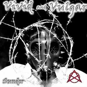 The Window by Vivid and Vulgar