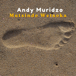Mutsindo Wetsoka by Andy Muridzo