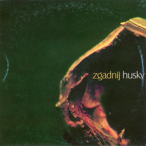 Zgadnij album