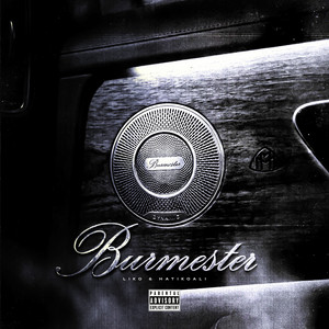 Burmester by LIKO, hatikoali