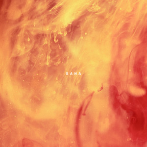 Van Sandano - Niyama