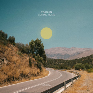 Coming Home album cover