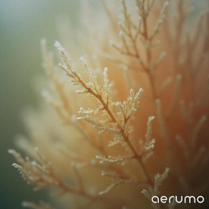 Coral Static 396 Hz by Aerumo