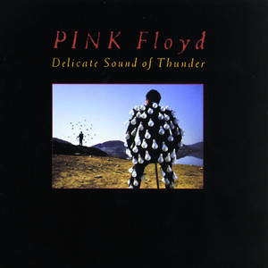 Delicate Sound Of Thunder - Album by Pink Floyd | Spotify