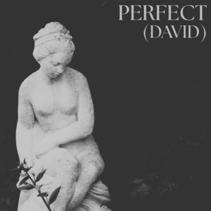 Perfect (David) by Evie Mae
