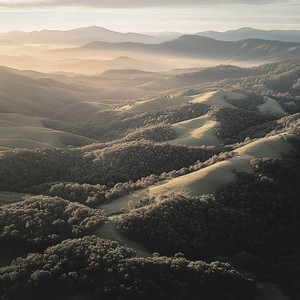 Nature Sounds from Carmel Valley