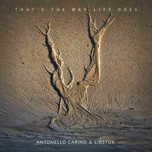 That's the Way Life Goes by Antonello Carino, LIBSTOK