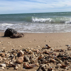 Chilling On Wave by Jack Fleury