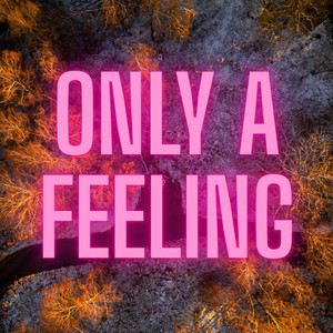 Only a Feeling by Perry Hans