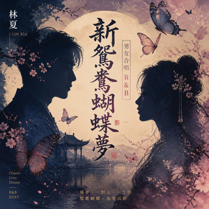 新鴛鴦蝴蝶夢 (男女合唱 R&B) by 林夏