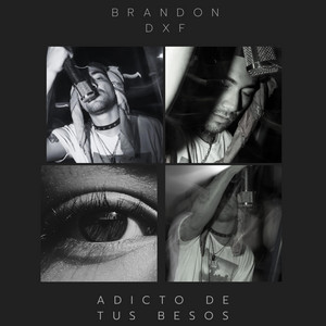 brandon dxf - I LIKE THE WAY YOU KISS ME (ADICTO DE TUS BESOS)