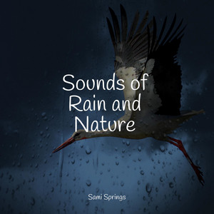 Sounds of Rain and Nature album