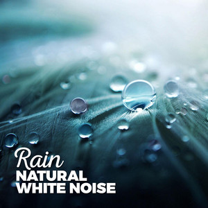 The Rain Leaks Through