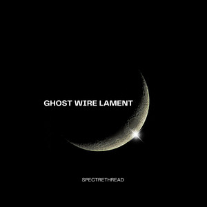 The Silence Wore My Skin by Spectrethread Echo