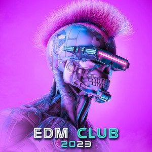 EDM Club 2023 album