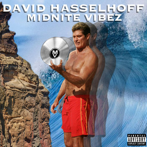 David hasselhoff