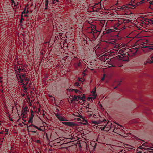 Nao Nhil cover