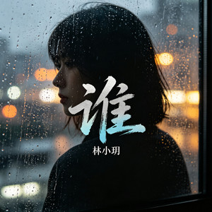 谁 - 深情女版 by 林小玥