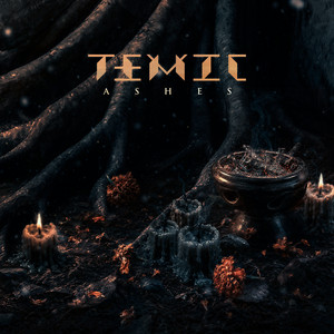 Ashes by TEMIC