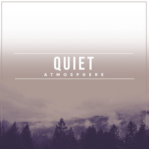 # 1 A 2019 Album: Quiet Atmosphere album