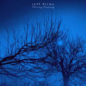 Missing Harmony by Jeff Birma