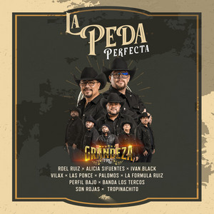 Necesito Olvidarla by GRANDEZA TRC