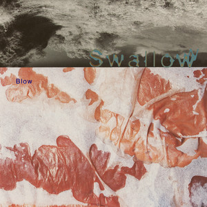Sugar Your Mind - 2026 Remaster by Swallow