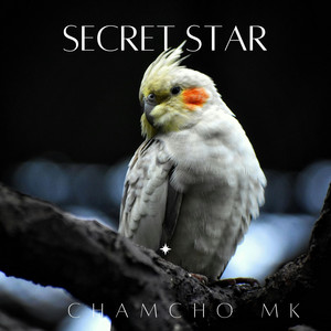Secret Star by Chamcho mk