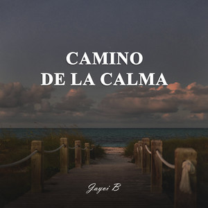 Path of Calm - Acoustic by Dj Jayvi B