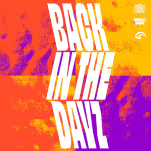 Back In the Dayz by Mungo's Hi Fi, Gardna