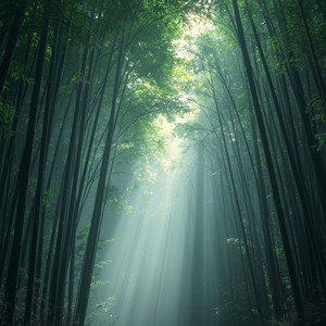 Sacred Bamboo Valley by Jade Spirit