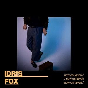 Now or Never by Idris Fox
