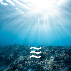 Peaceful Ocean Sound (Looped)