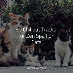 50 Chillout Tracks for Zen Spa For Cats album