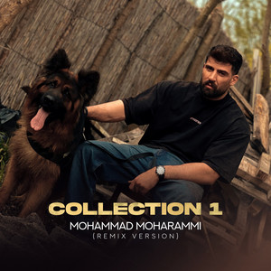 Mohammad Moharammi - Collection 1 (Remix)
