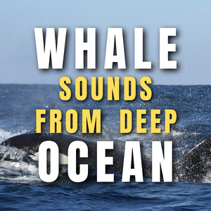 Whale sounds from Deep Ocean album