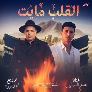 اصبر يا قلبي - محمد البصيلي - احمد لوزه by DOKDOK.AHMED LOZA