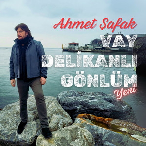 Vay Delikanlı Gönlüm (2025)