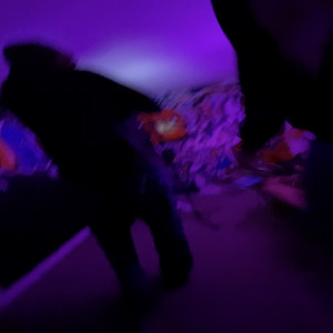 stxrboy vlone - Countup