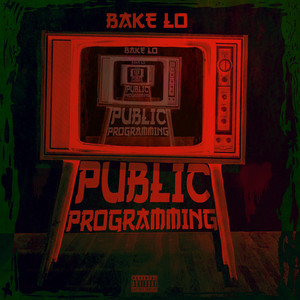 Portada de Public Programming