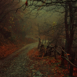 haunting forest by wintercold