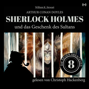 Sherlock Holmes und das Geschenk des Sultans (Die neuen Abenteuer 8)