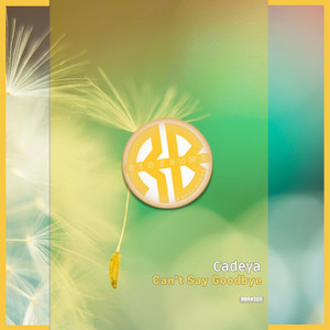 Can't Say Goodbye by Cadeya