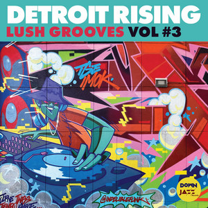 Open Letter - House Remix by Detroit Rising, EVM128
