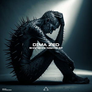 Back to Shanghai - Original Mix by Dima Zed