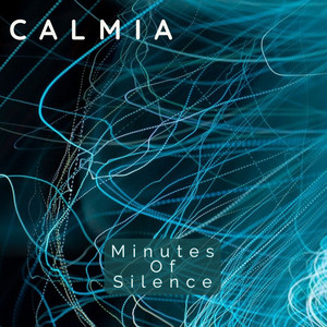 Minutes Of Silence
