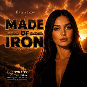 made of iron by אילן יעקב